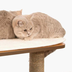 Catit Vesper High Base Kradsetræ