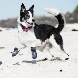 Hurtta Outback støvler til hunde