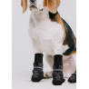 Pawise Doggy Boots hundestøvler