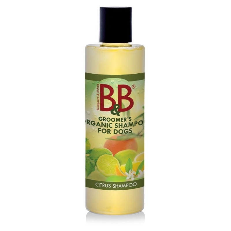 B&B Citrus Shampoo