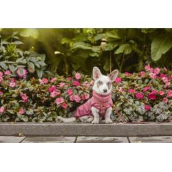 Hurtta Razzle-Dazzle midlayer fleece jakke til hund