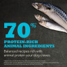 Acana Pacifica Highest Protein | Kornfri og fyldt med lækre fisk!