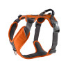 Comfort Walk Pro hundesele fra Dog Copenhagen