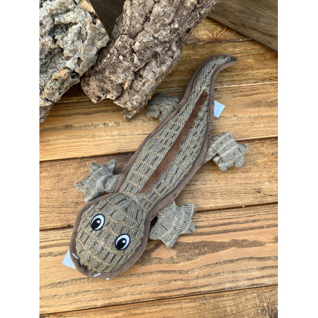 Hunter, Brisbane Salamander