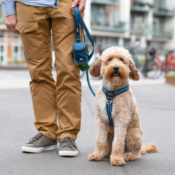 Pouch Organizer™ linetaske | Dog Copenhagen | DyreCentret