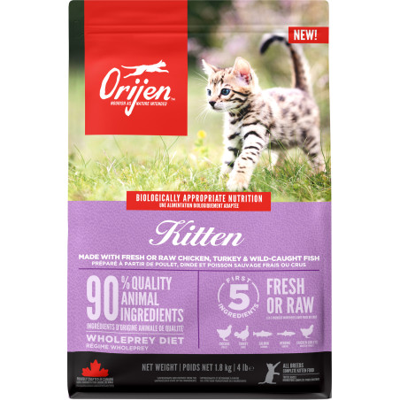 Orijen Kitten