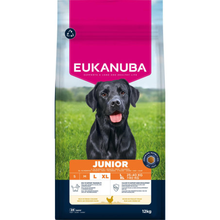 EUKANUBA Junior Large Breed Kylling