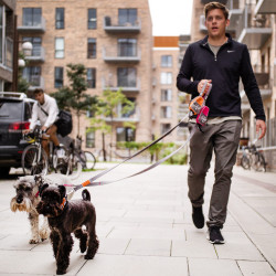 Urban Trail hundeline | Dog Copenhagen | DyreCentret