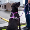 Urban Rope hundeline | Dog Copenhagen | DyreCentret