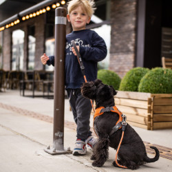 Urban Rope hundeline | Dog Copenhagen | DyreCentret