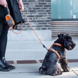 Urban Rope hundeline | Dog Copenhagen | DyreCentret