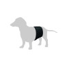 Gentleman Wrap til hund