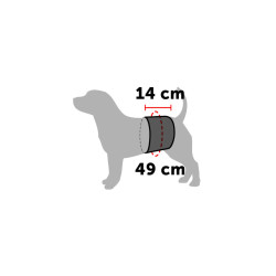 Gentleman Wrap til hund